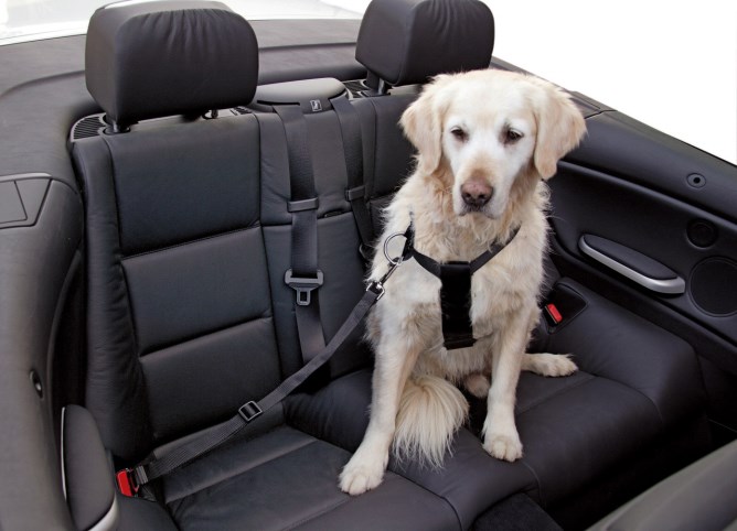 KERBL Car dog harness