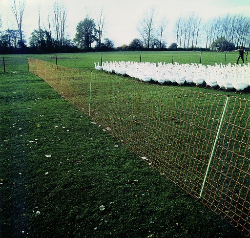 [23725-01] GÖBEL Euro Net 112/2 Wild browsing 50m