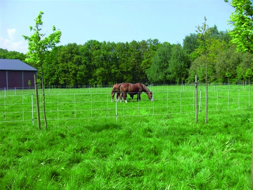 [23754-01] GÖBEL Euro-Pferde-Netz 120/2 30,5m