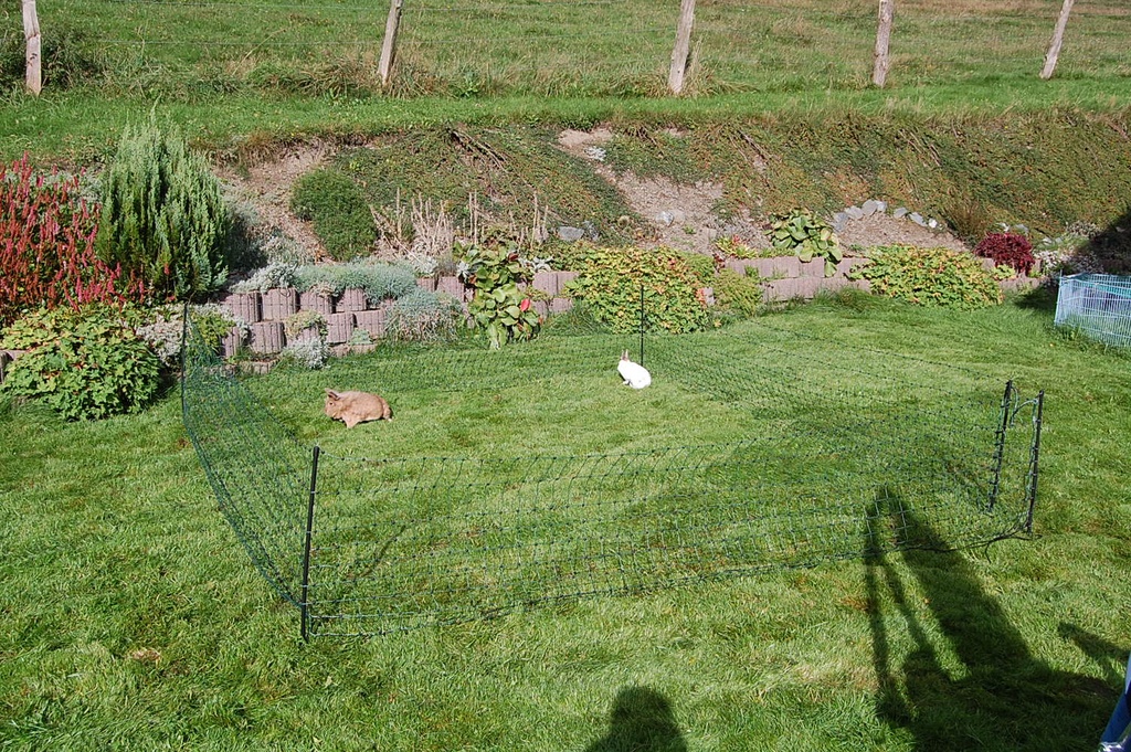 GÖBEL Small animal net 65/1 12m green