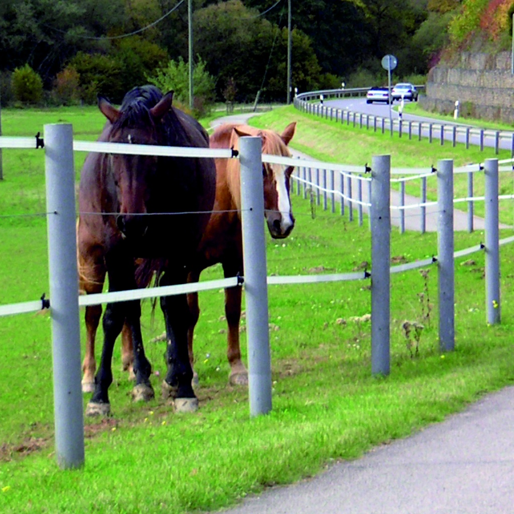 GÖBEL Recycling posts round with tip, 10 x 175 cm