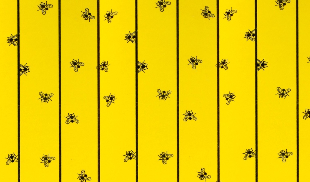 KERBL Stallfliegenbogen FlyMaster