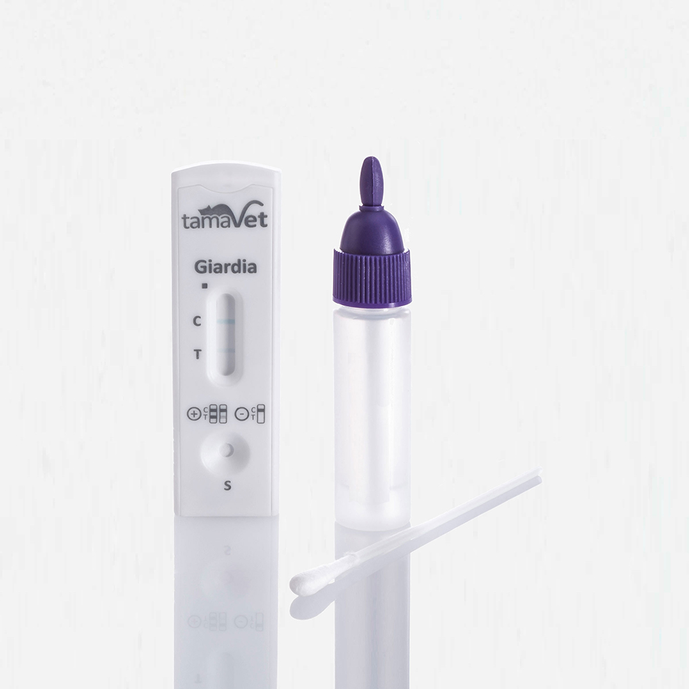 NAL VON MINDEN tamaVet Giardia Test