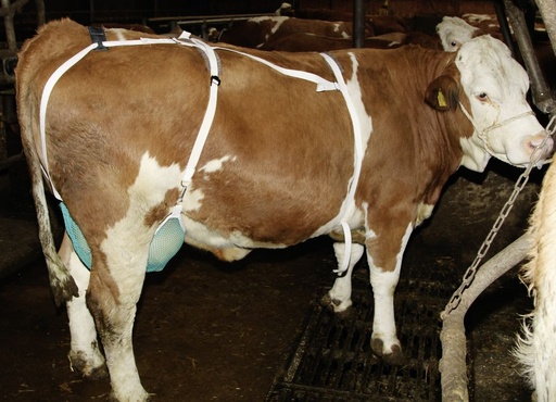 KERBL Teat protection