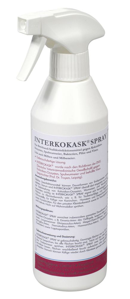 INTERKOKASK Disinfectant Spray, 500 ml