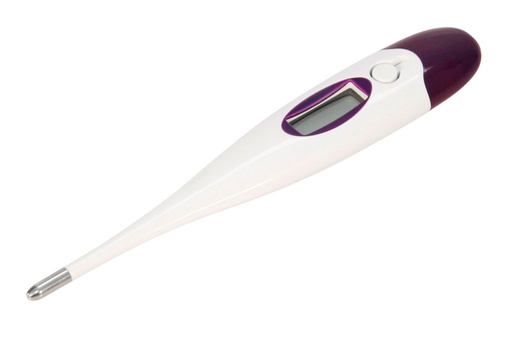 [24845-01] KERBL Digital Thermometer