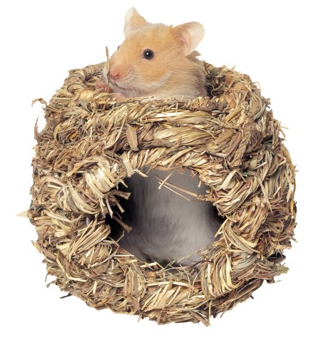KERBL Grasnest