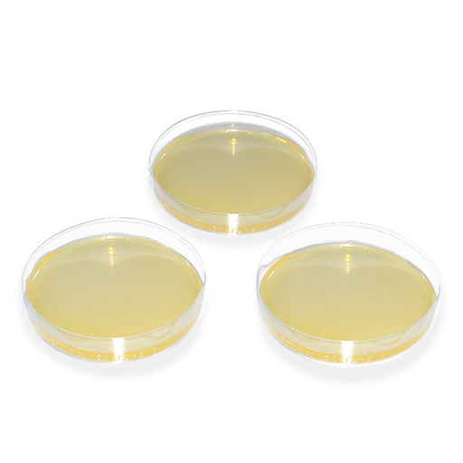 [14430-01] MEGRO Sabouraud-Dextrose-Agar
