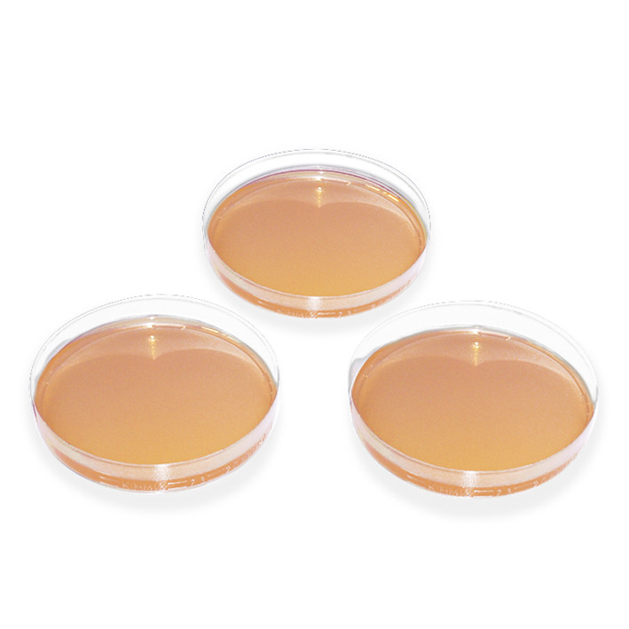 MEGRO Dermatophyten-Selektivagar (Taplin)