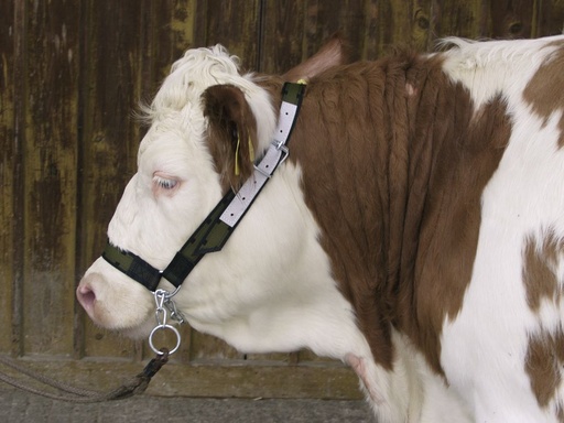 [22512-01] KERBL Cow halter with chin chain olive green/black