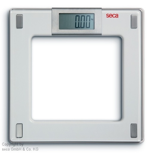 [15580-01] SECA Electronic flat scale aura 807
