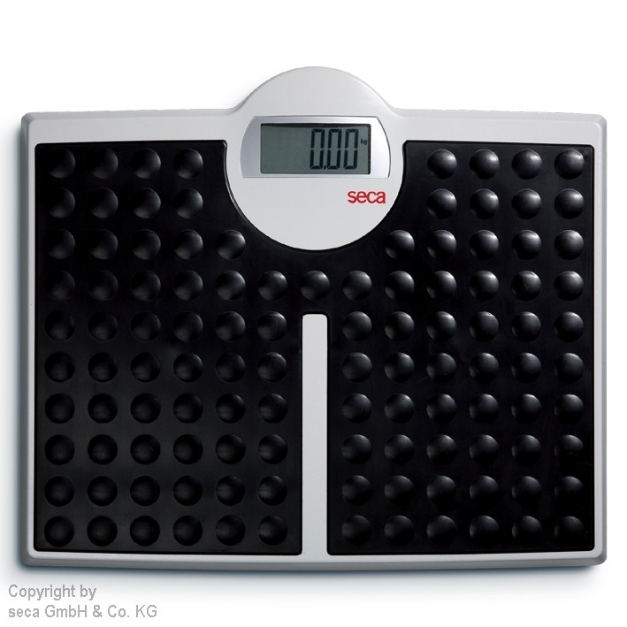 SECA electronic flat scale robus 813