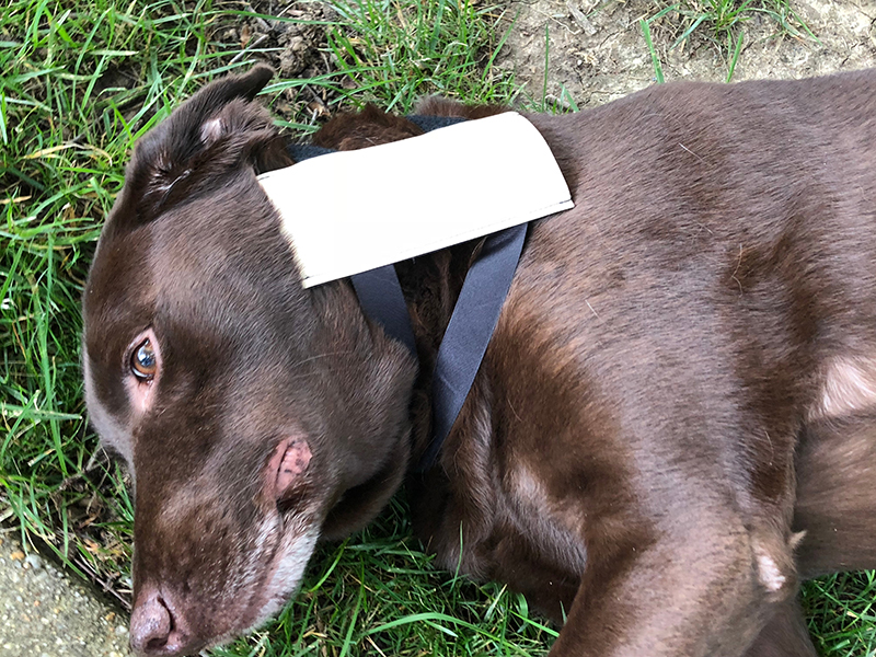 ERLERZIMMER Wearable IV Trainer