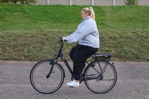ERLERZIMMER Professional Obesity Trainer