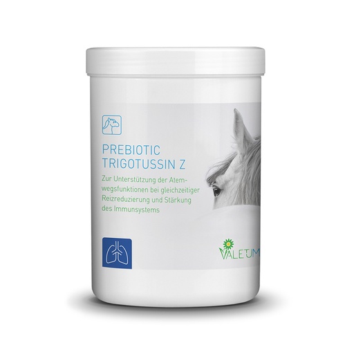 [22805-01] VALETUMED Prebiotic Trigotussin Z, 500 g