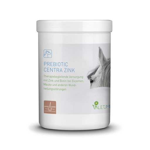 [22809-01] VALETUMED Prebiotic Centra Zin, 750 g