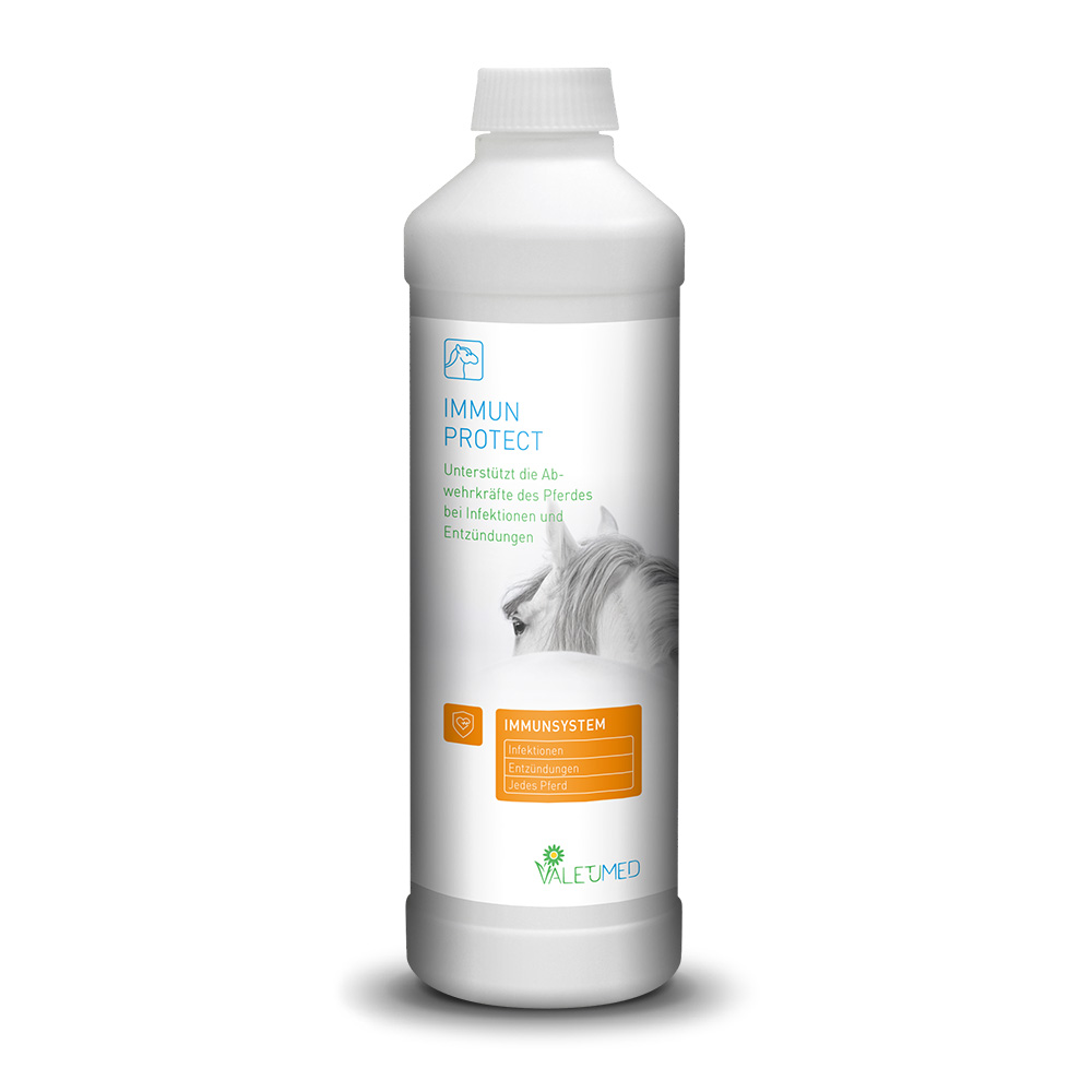 VALETUMED Immun Protect, 500 ml