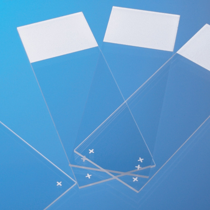 THERMO Adhesion slides