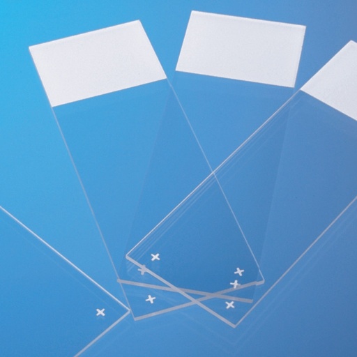 THERMO Adhesion slides