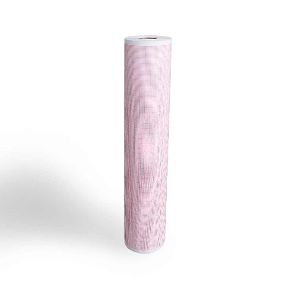 BLUMBERG ECG Printer paper roll incl. grid for Cardio series