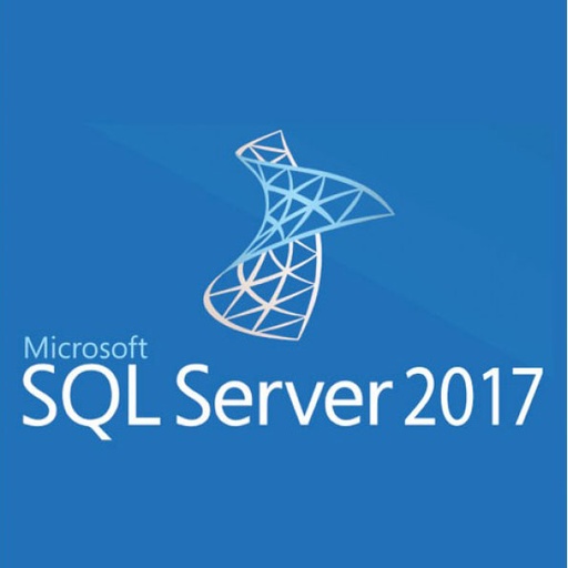 [20807-01] Microsoft SQL 2017 Server Enterprise 4Core ESD