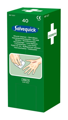 [22198-01] SALVEQUICK Wound cleaning wipes 10 x 14 cm