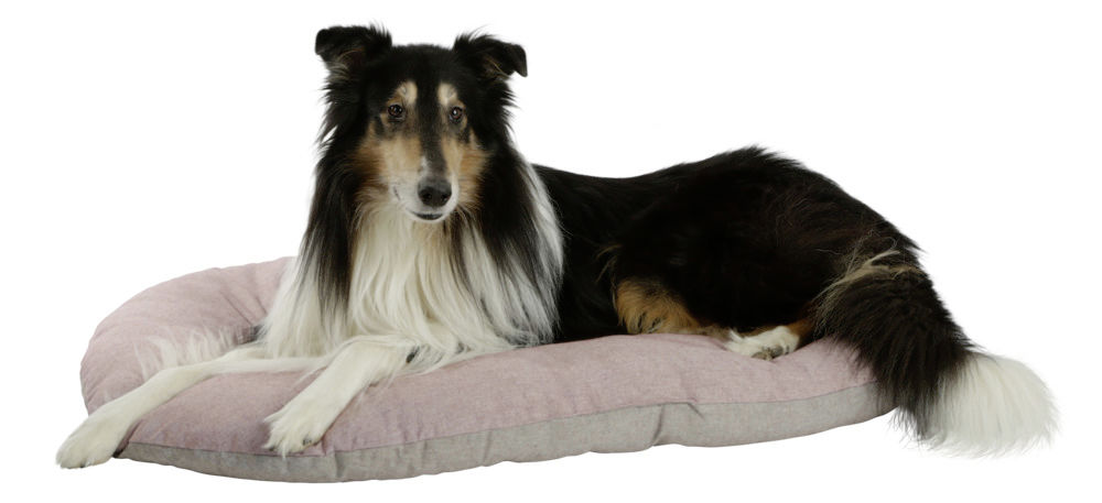 KERBL Lying cushion Golden