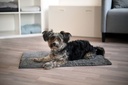 KERBL Dirt trapping mat SuperBed